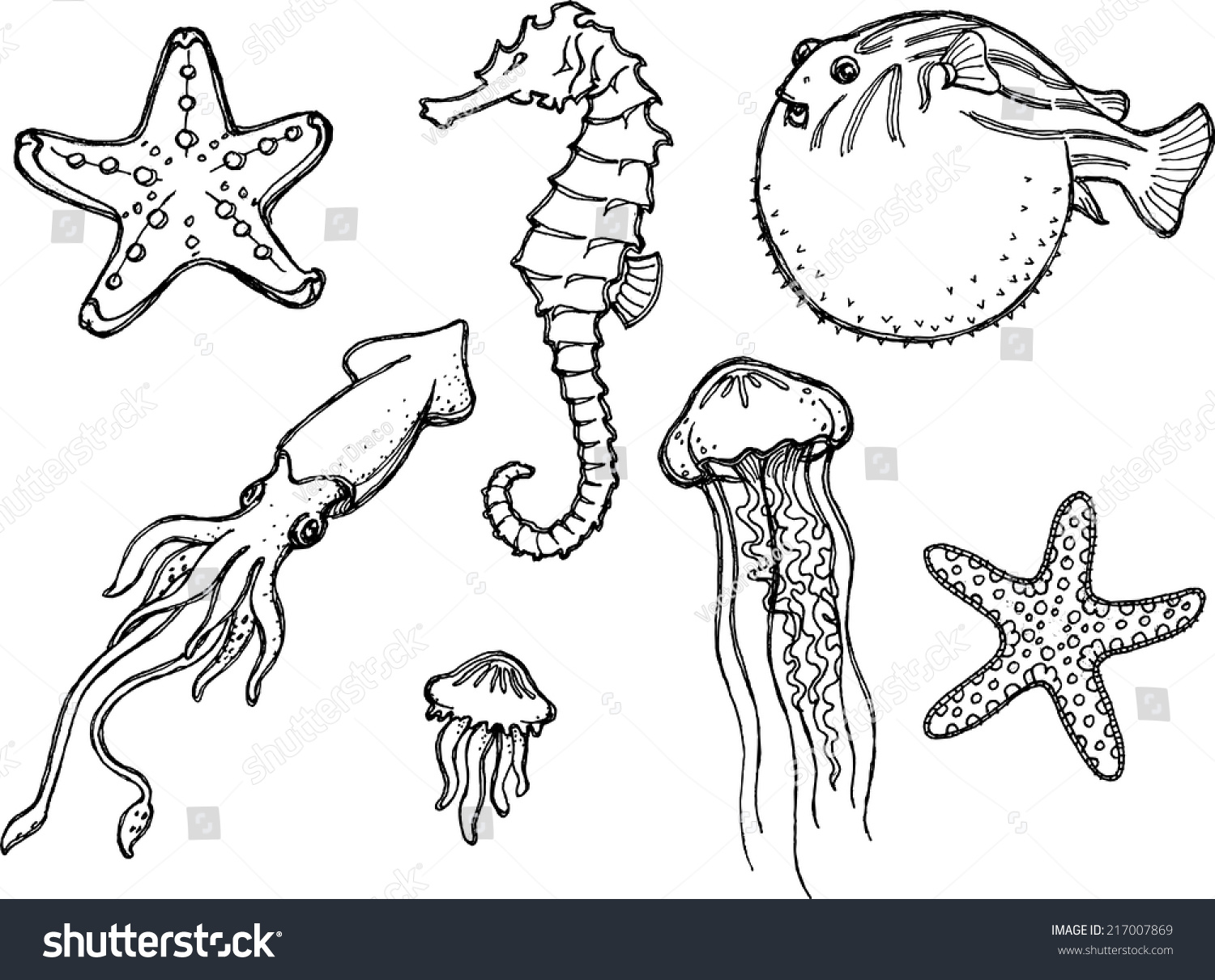 海洋动物素描-动物/野生生物,自然-海洛创意(hellorf)