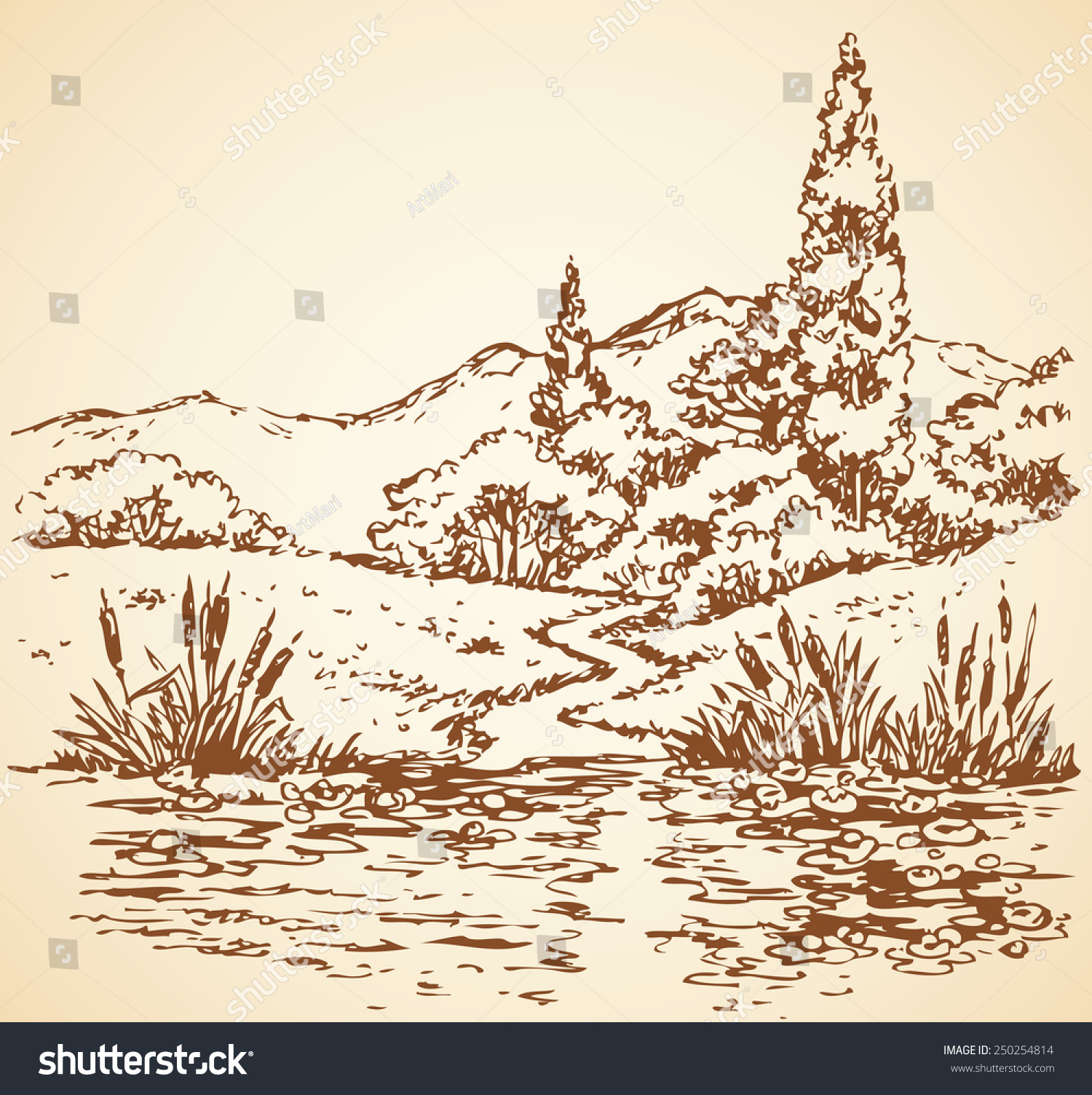 愉快的夏季观点:狭窄的轨道从树林到杂草丛生