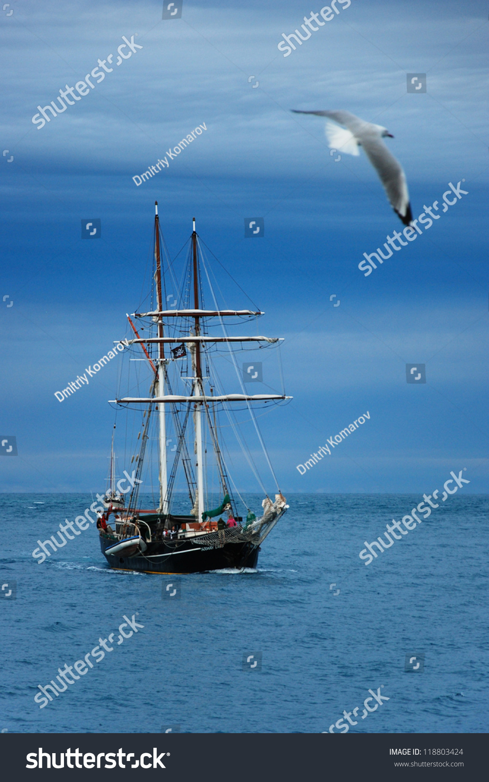 帆船和传递海鸥,圣灵降临节,澳大利亚