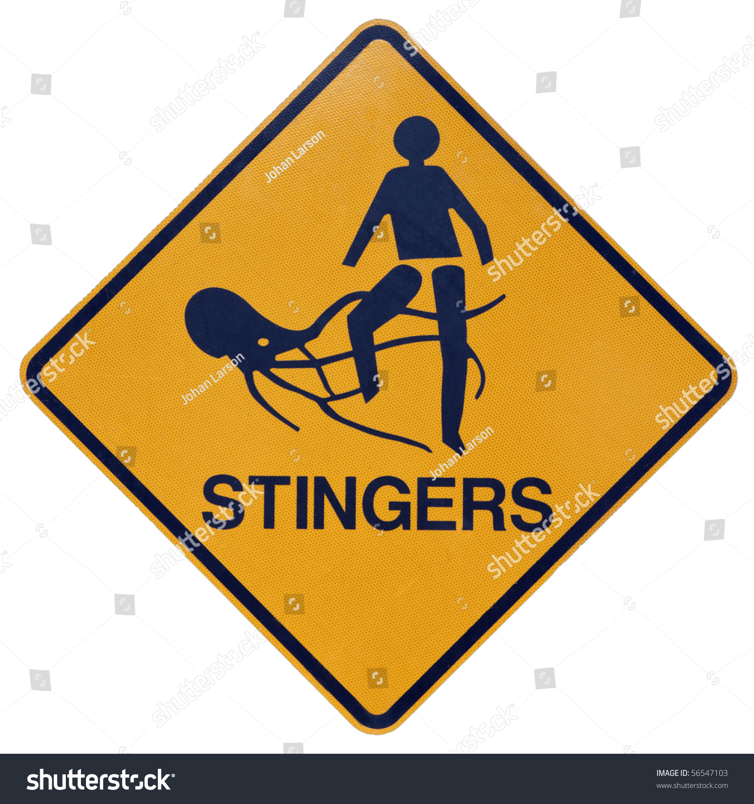 黄色和黑色警告危险的海螫或水母在澳大利亚热带.